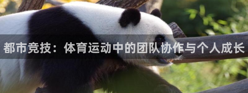 J9官网下载招商电话号码是多少:都市竞技:体育运动中的团队协