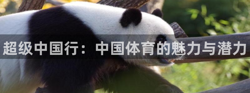 J9官网下载招商电话号码查询:超级中国行:中国体育的魅力与潜